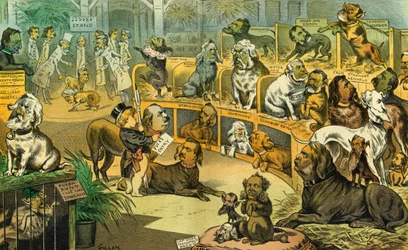 Nuestra exposición nacional de perros, 1883